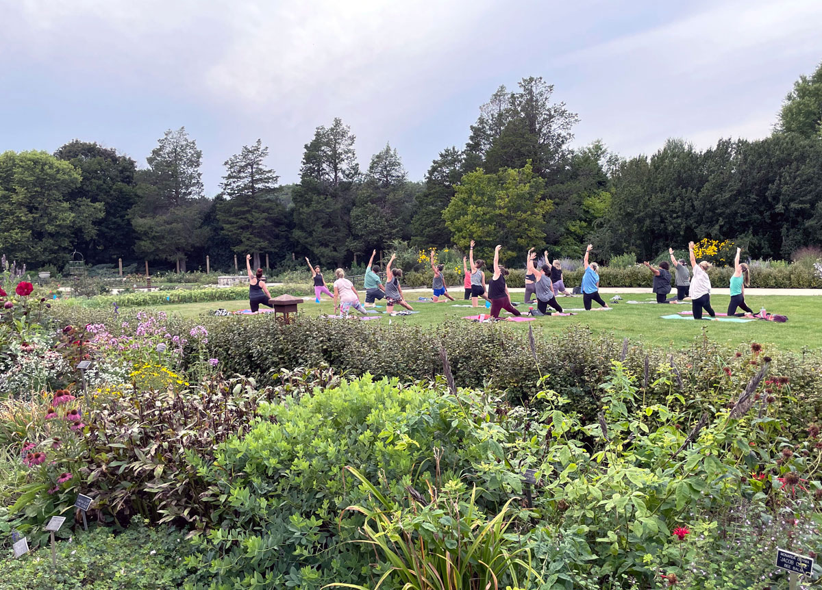 Smooth Flow Yoga in Milwaukee