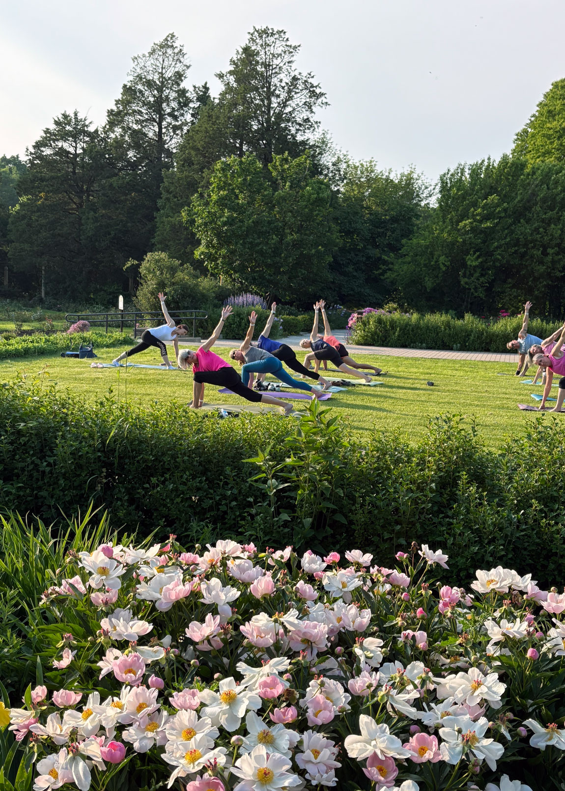 Smooth Flow Yoga in Milwaukee